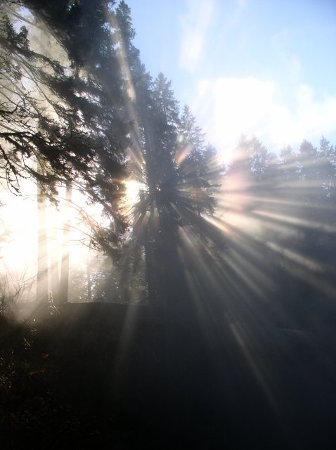 Silver Falls 12.10.05 008 